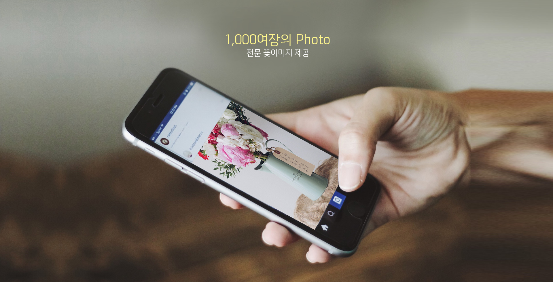 1,000여장의 Photo 전문 꽃이미지 제공