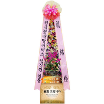 축하쌀화환(20kg)+서양난