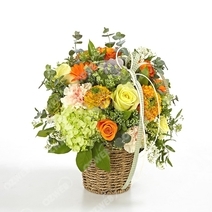 Orange Blossom