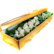 백장미 꽃박스