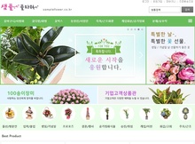 일반형 | 오즈TL 그린